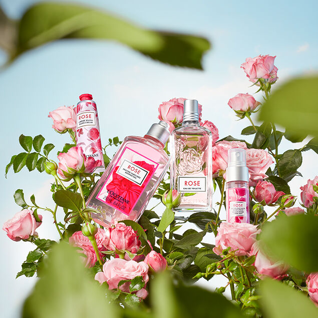collection rose | L'OCCITANE BE